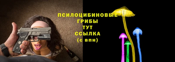 стафф Арсеньев