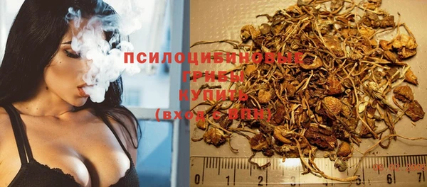 стаф Армянск