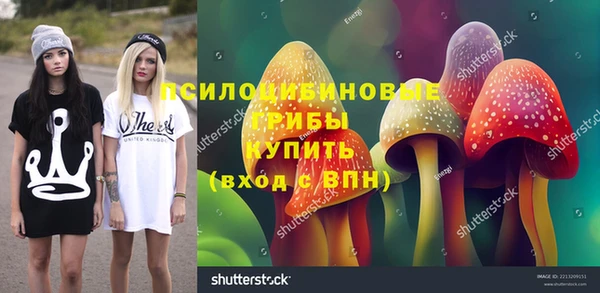 стафф Арсеньев