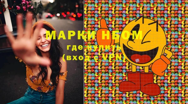 стафф Арсеньев